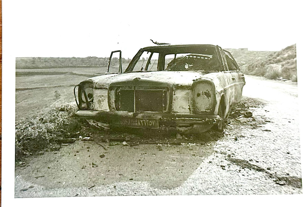 Road kill