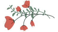 Poppy Deco Transparent Back.png