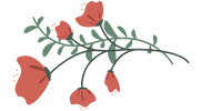 Poppy Deco Transparent Back.png