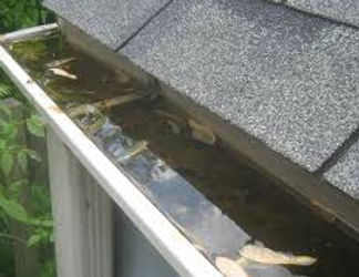 Gutter full of leaves and dirty water