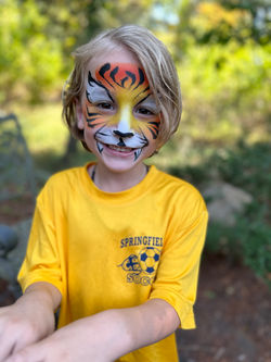 Tiger Face Painting