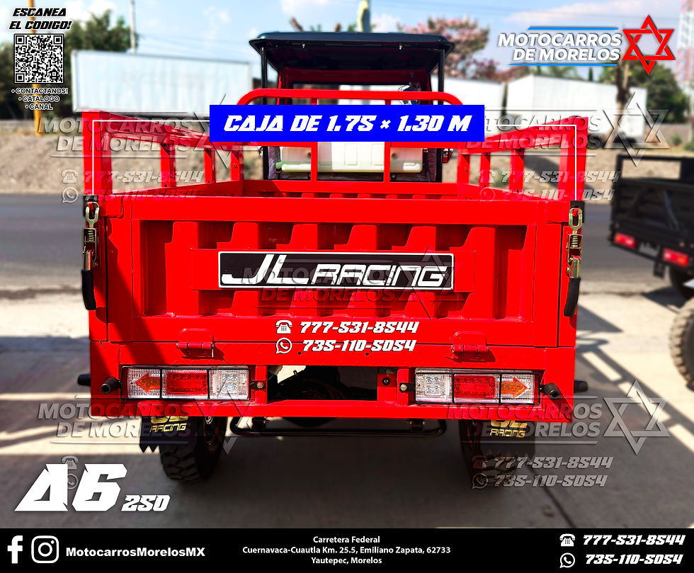 Miniatura: A6 250cc - JL RACING