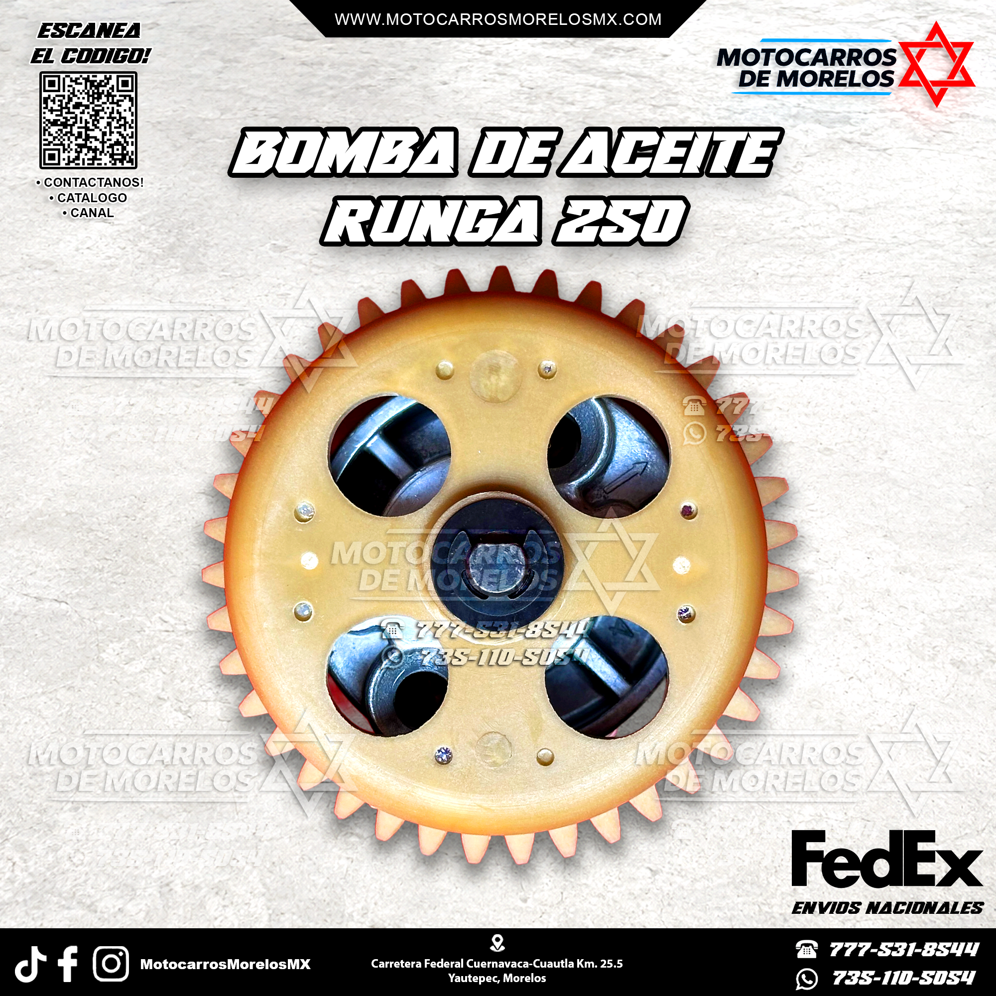 BOMBA DE ACEITE - RUNGA 250