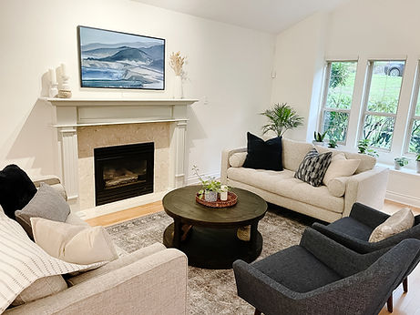 Living Room for Adulting