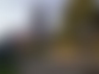 Wolverhampton Homes reappoint Dukes