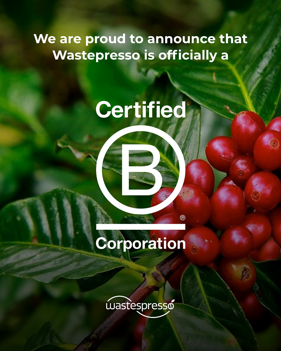 Wastespresso’nun B Corp Yolculuğu: Kahve Posasının İleri Dönüşümünden Küresel Sürdürülebilirliğe 🌍☕
