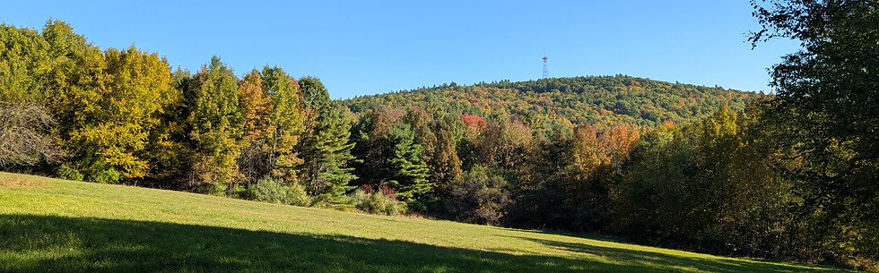 PXL_20250927_132258621.jpg