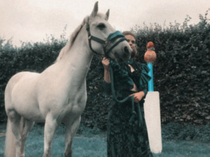 AREL9499.gif