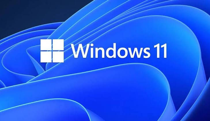 Windows 11 Pro