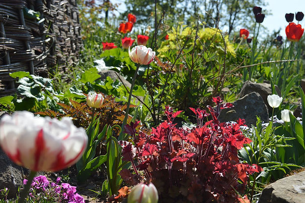 Flowers 2.jpg