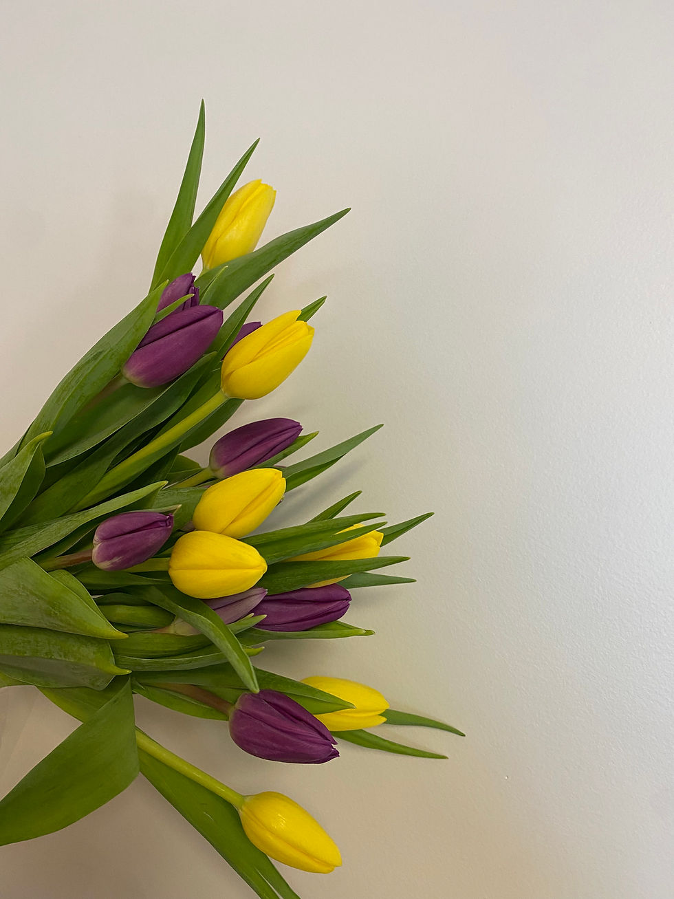 Thumbnail: Locally-Grown Seasonal Bunch