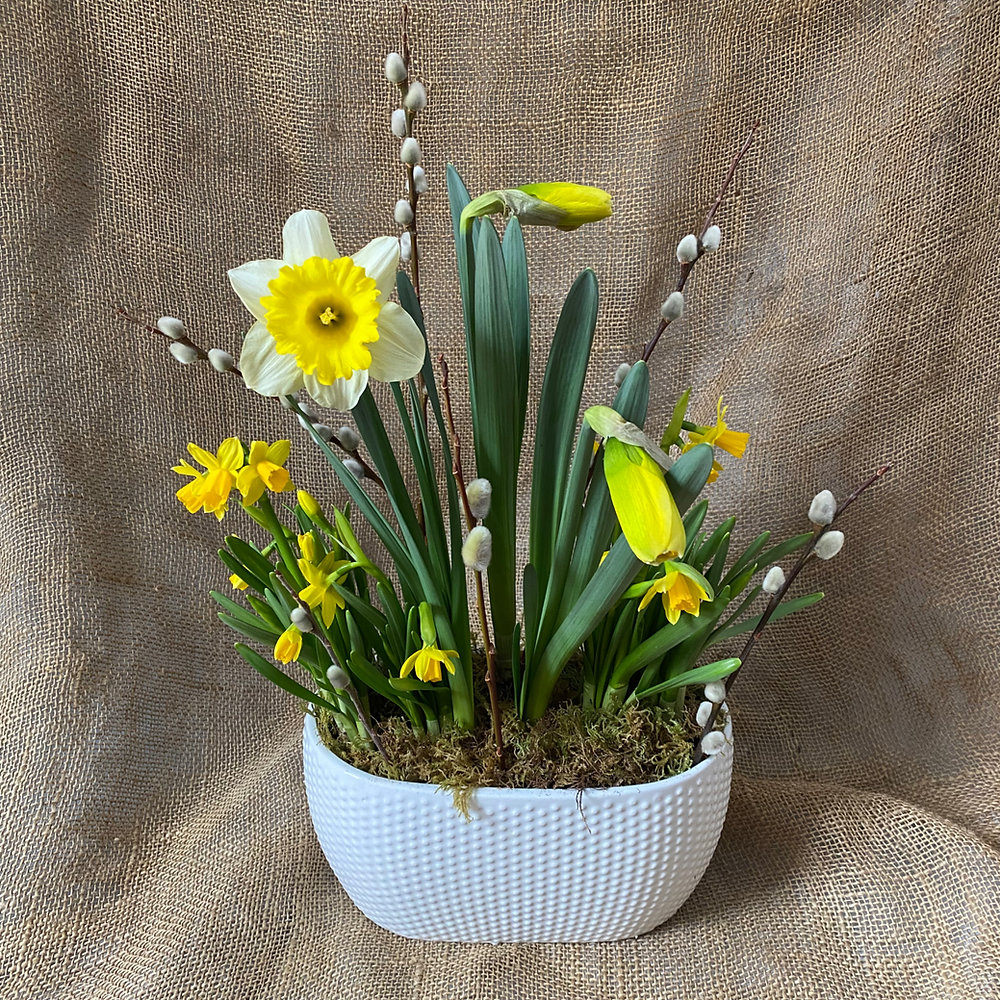 Spring Parnall Celebrating Spring