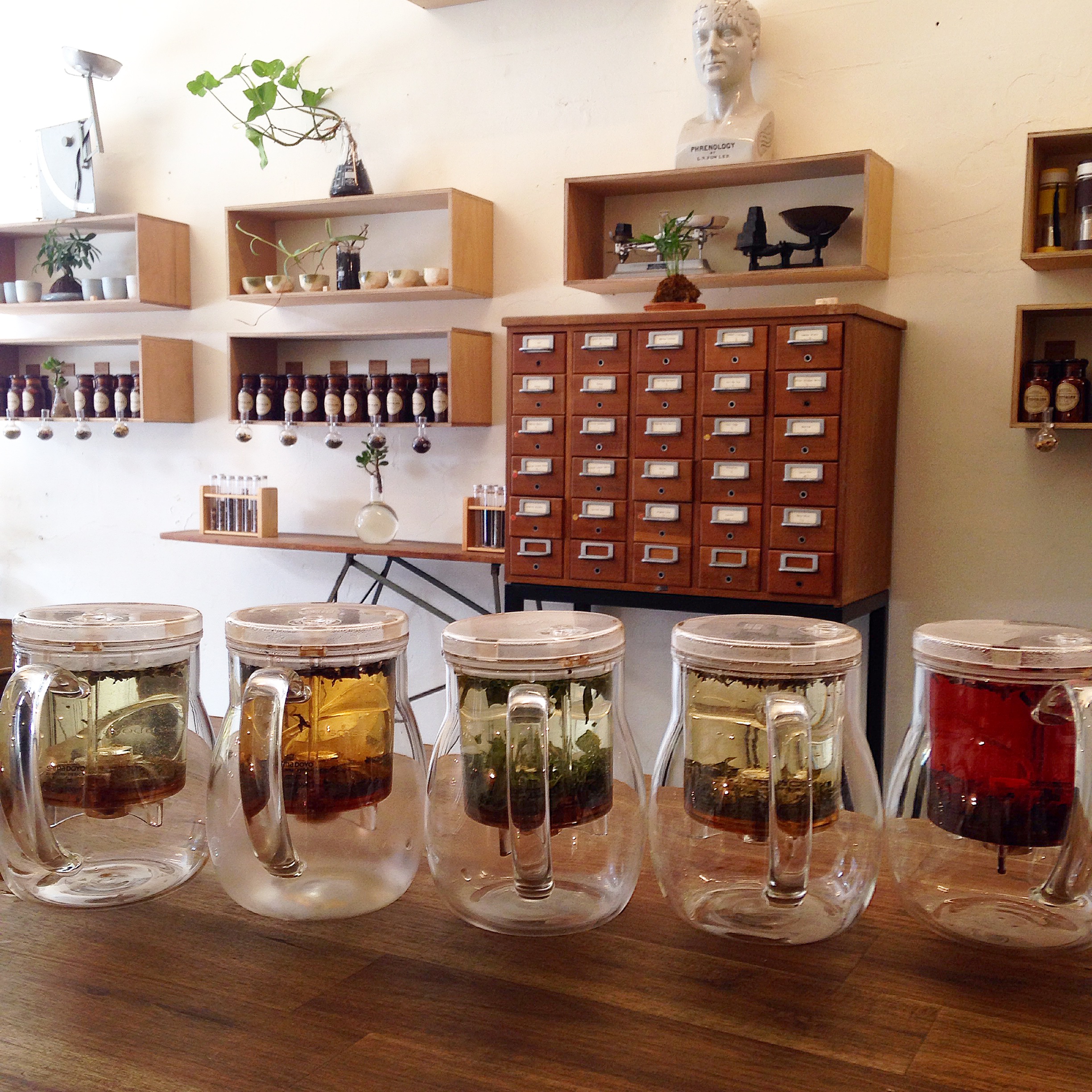 T Totaler Visit our Newtown Tea Bar Sydney Tea