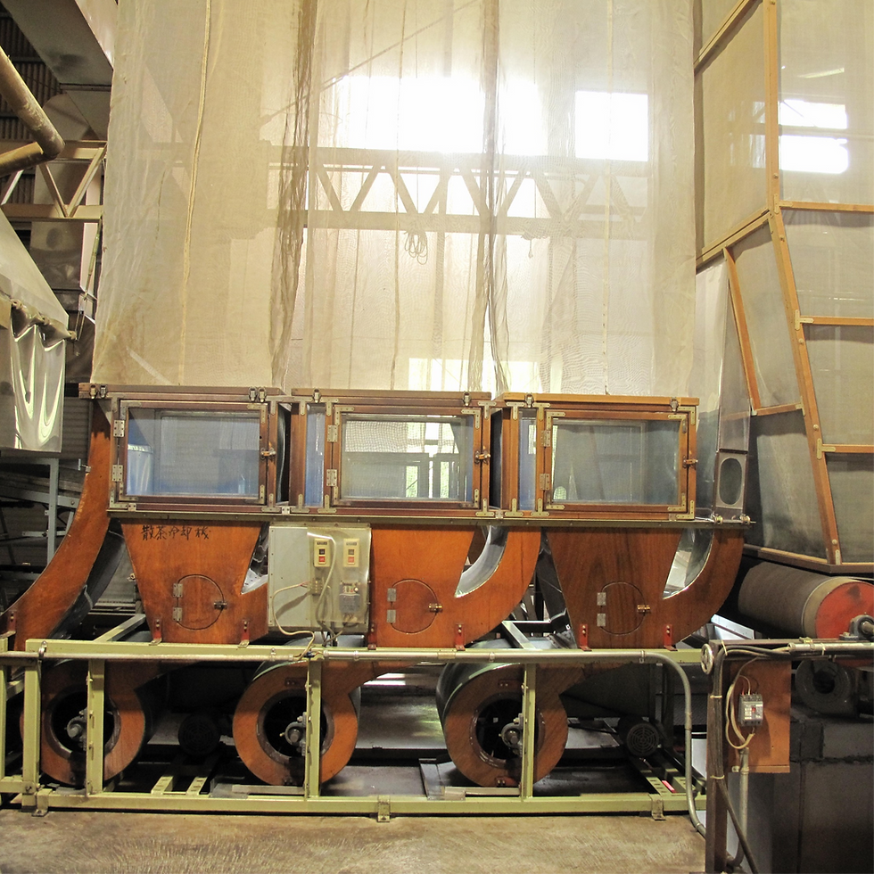 tencha factory