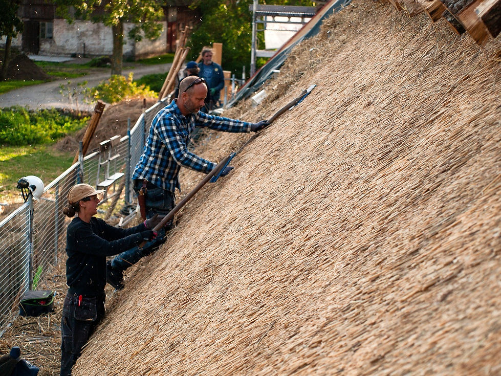 Vasstak 2023_edited.jpg