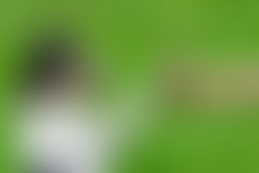 ¿Premias a tu perro por no hacer nada?