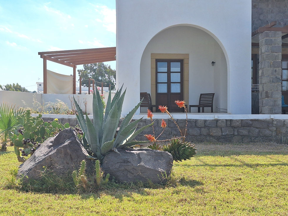 Yellow room - garden