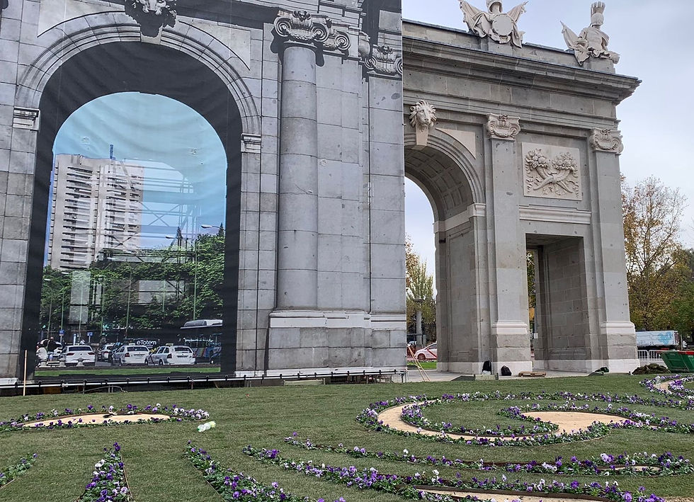 Puerta de Alcalá con césped natural de Tepeservi