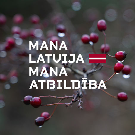Patriotisma nedēļā LASAP biedri tiekas ar iniciatīvas "Mana Latvija. Mana atbildība" autoriem un viesojas Kara muzejā