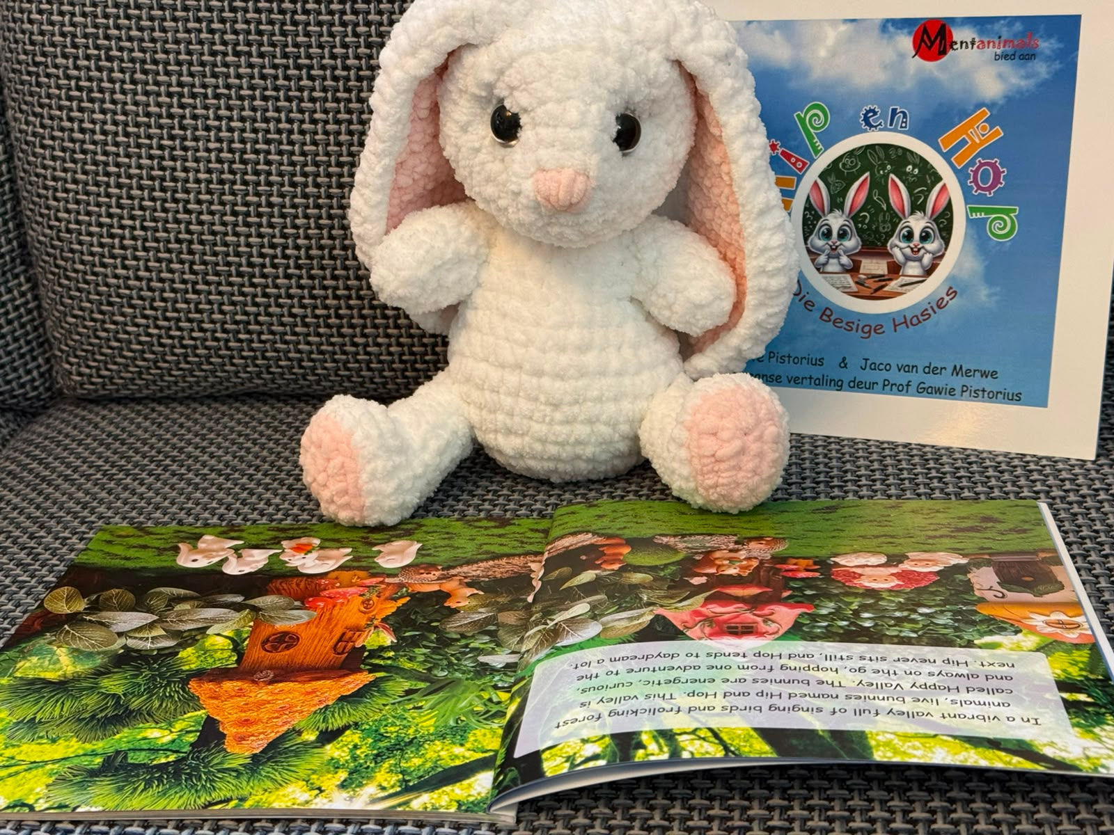 Combo: Hip and Hop book plus soft toy