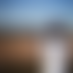 Senior Caleb Bennison