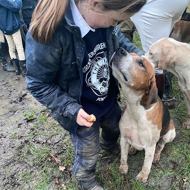 WHSC Lead Rein Hound Exercise 