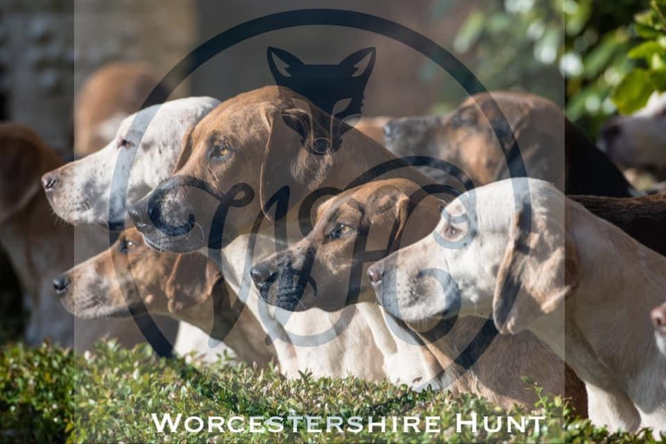 Thumbnail: Worcestershire Hunt 300 Piece Jigsaw Puzzle 