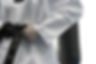 Tae Kwan Do Belt_edited.jpg