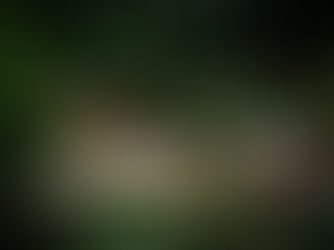 Tranquil Scottish retreat with people relaxing and practising mindfulness, designed to support stress and burnout recovery.