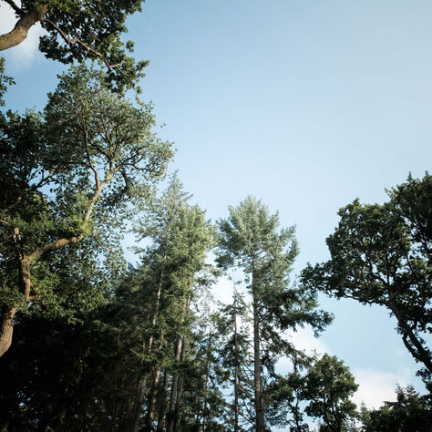 The Life-Changing Benefits of CAIM Retreats: A Holistic Wellness Experience in Scotland. Why a Retreat Can Change Your Life