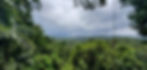 thumbnail_20220331_135215.jpg