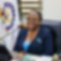 "Institutions can continue monitoring mandate-specific indicators" – NDPC Boss
