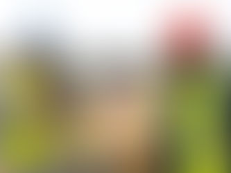 SONA 2026: "Ghana is going to become a construction site" - Prez Mahama