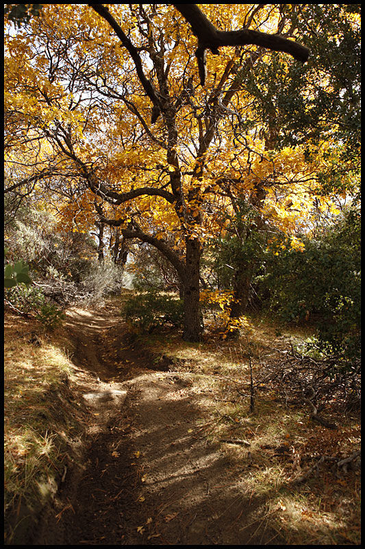 "Just Outstanding" trail