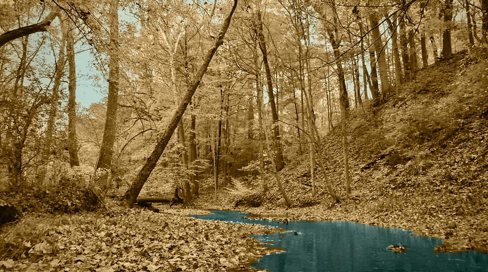 Landscape Photo.png