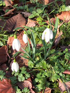 March Garden Jobs