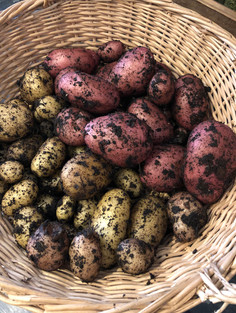 January Garden Jobs