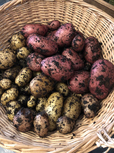 January Garden Jobs