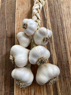 November Garlic