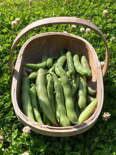 August Garden Jobs