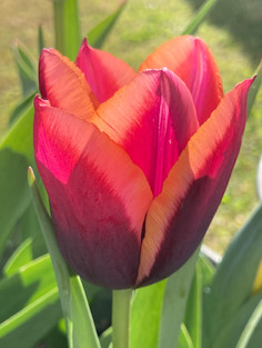 June Garden Jobs