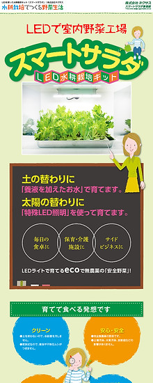 スマートサラダ