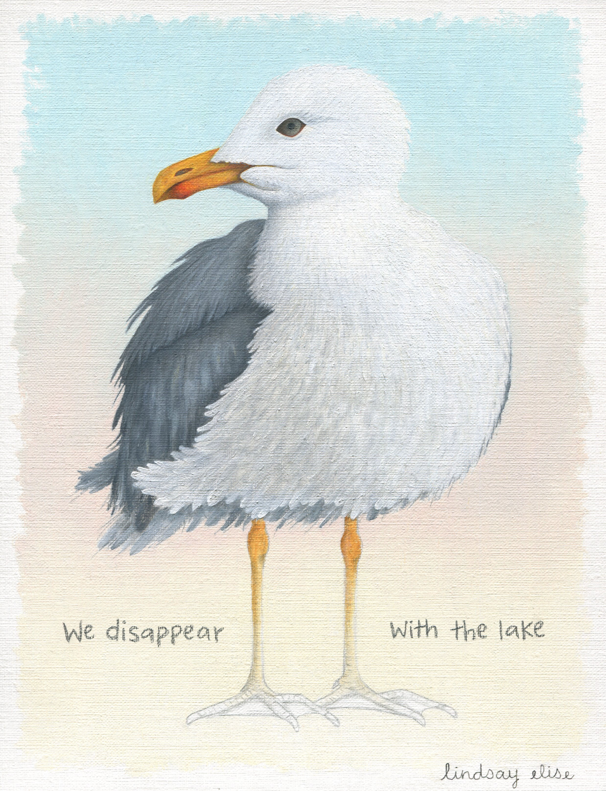 Nature painting of a California Gull on the Great Salt Lake done in oil paint on paper.