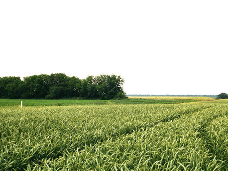 Tips to Maintain Your Weight After Completing a Medical Weight Loss Program