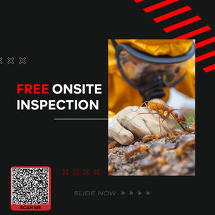 Termite Fumigation Company