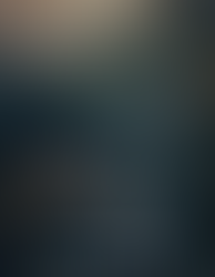 The White Olive Tree