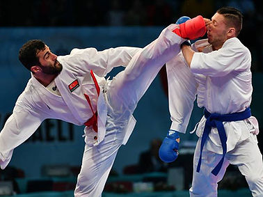 WKF kumite.jpg
