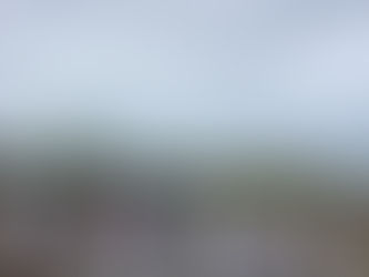 7月27日若林チャーフルズ大会