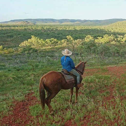 26195758_10155926120407510_5220784017877