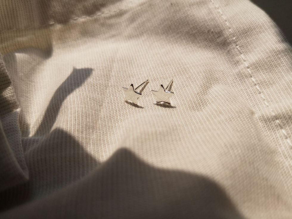 ภาพขนาดย่อ: Simple Star Ear Studs